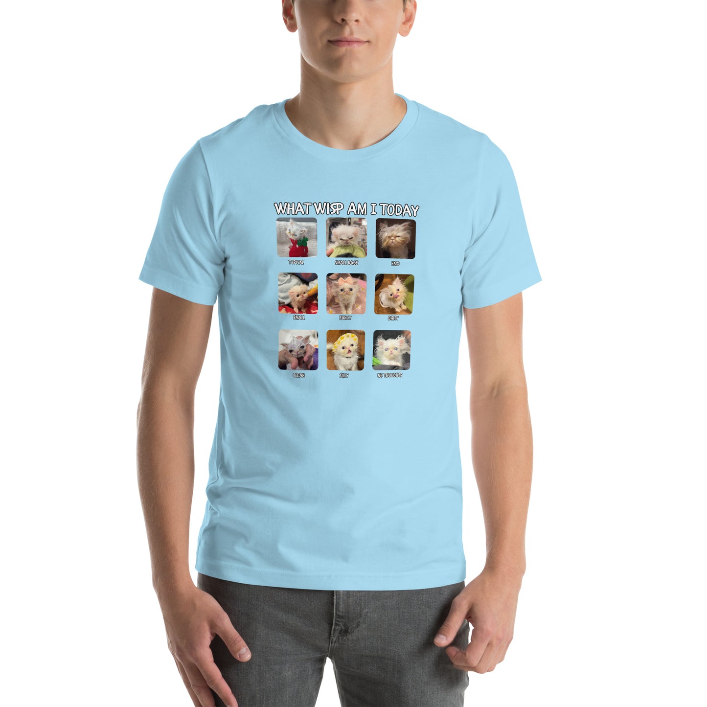 What Wisp Am I Today (Emo Edition) Unisex t-shirt
