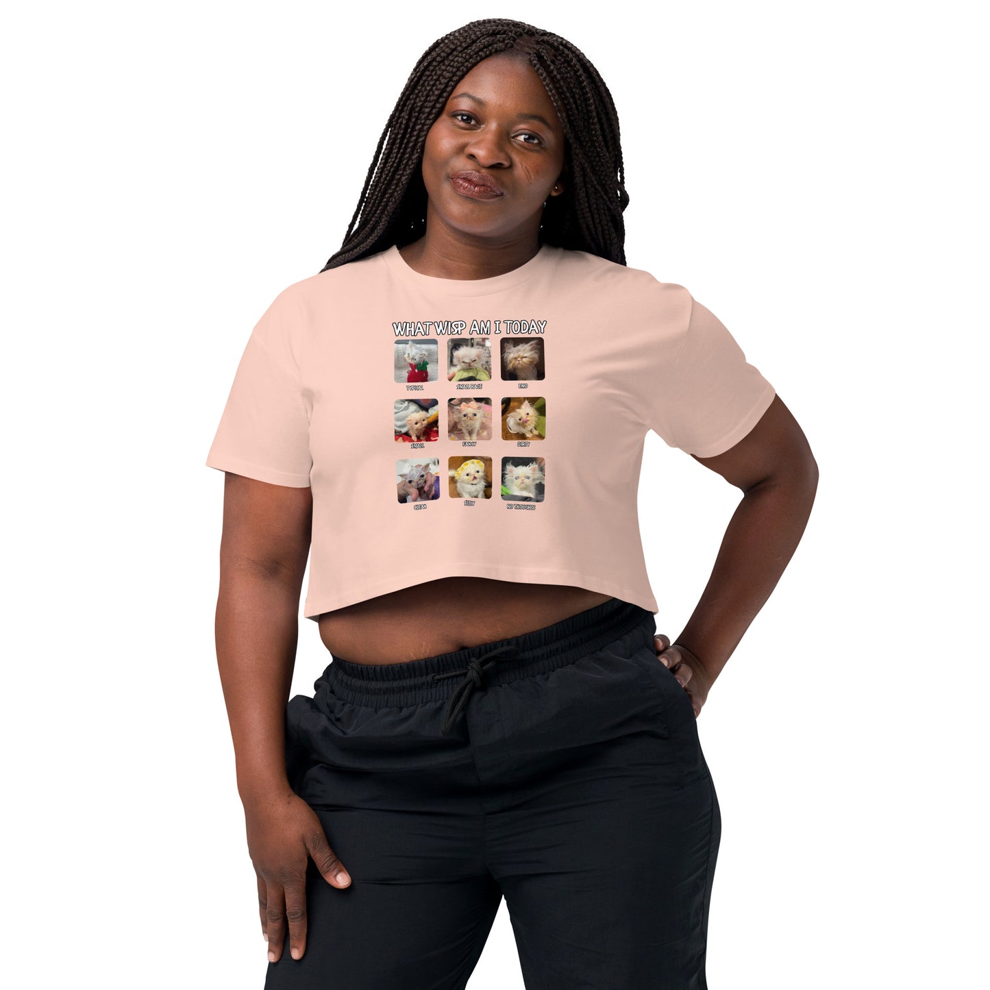 What Wisp Am I Today (Emo Edition) Women’s crop top